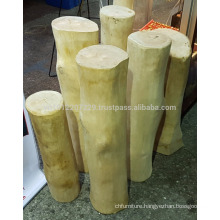 WHITE KING OF WOOD / RAJA KAYU (AGATHIS ALBA)